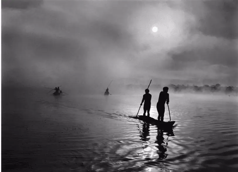 a-group-of-wauru-fish-in-the-piulaga-lake-2005-photograph-by-sebastiao-salgado